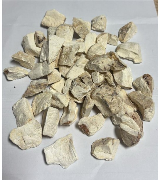 Yılan Burçağı-gavur Pancarı Kökü Yılan Burçağı-gavur Pancarı Kökü