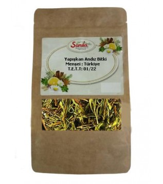 Sanita Yapışkan Andız 30 Gr