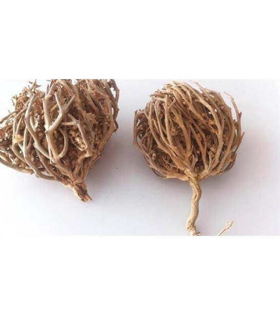 Meryem Ana Eli-fatma Ana Eli Bitkisi Meryem Ana Eli-fatma Ana Eli Bitkisi