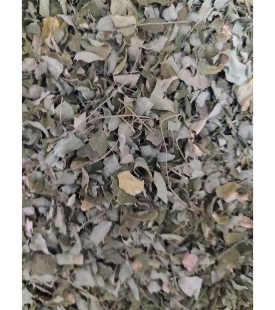 Moringa Yaprak 500 GR Moringa Yaprak 500 GR