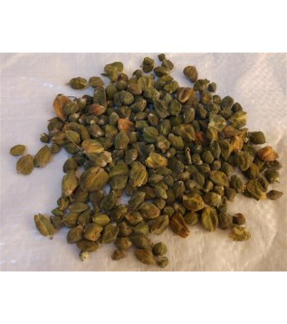 Kapari  Kurusu Yerli Kapari  Kurusu Yerli