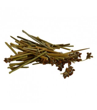 Kayış Kıran Kayış Kıran