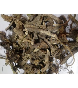 Kedi Otu Kökü Kedi Otu Kökü