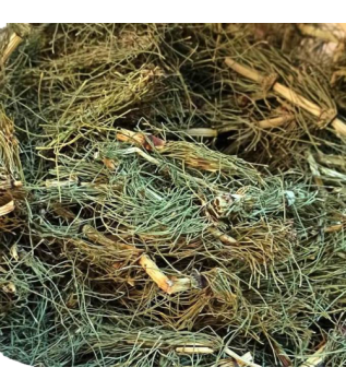 Kırkkilit - At Kuyruğu Kırkkilit - At Kuyruğu