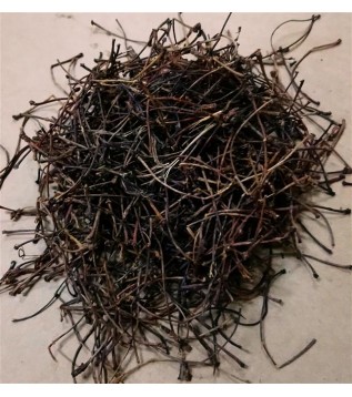 Kiraz Sapı Kiraz Sapı