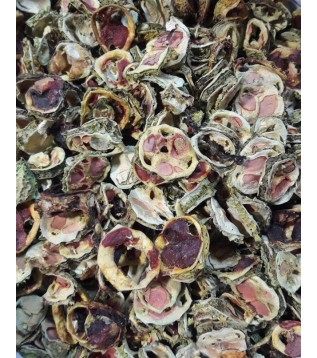 Kudret Narı Kurusu Kudret Narı Kurusu