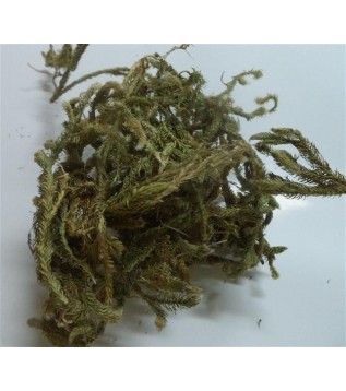 Kurt Pençesi-kibrit Otu-kurt Ayağı 250 GR Kurt Pençesi-kibrit Otu-kurt Ayağı 250 GR