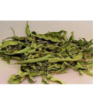 Melisa Limon Kültür Nakliye Hariç 500 GR Melisa Limon Kültür Nakliye Hariç 500 GR