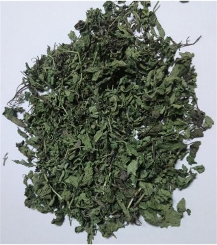 Melisa Otu (dağ) 1 Melisa Otu (dağ) 1