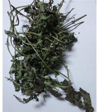 Melisa Otu (dağ) Dallı Melisa Otu (dağ) Dallı