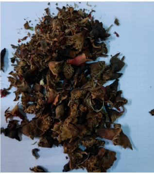 Nar Çiçeği Nar Çiçeği