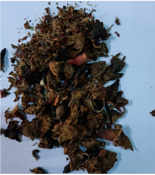 Nar Çiçeği