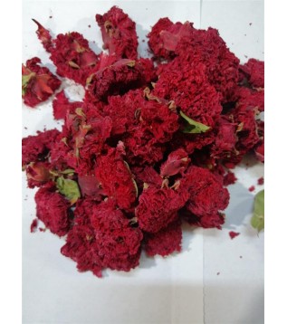 Nar Çiçeği İthal Nar Çiçeği İthal