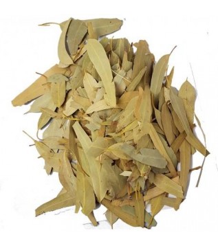 Okaliptüs Yaprağı 100 GR Okaliptüs Yaprağı 100 GR