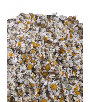 Papatya 2025 Tırmık Papatya 2025 Tırmık