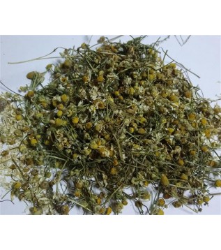 Papatya Çaylık-öğütmelik Papatya Çaylık-öğütmelik