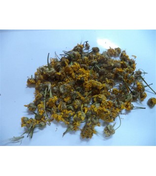 Papatya Sarı-alman Papatyası Papatya Sarı-alman Papatyası