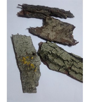 Söğüt Ağacı Kabuğu Söğüt Ağacı Kabuğu