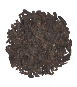 Topalak-kust-buhuru Meryem Topalak-kust-buhuru Meryem