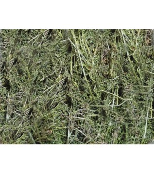 Yoğurt Otu/yapışkan 500 GR Yoğurt Otu/yapışkan 500 GR