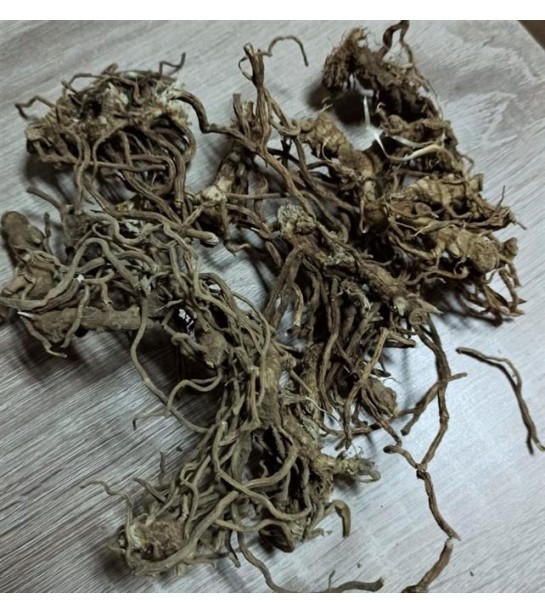 Tavşan Memesi Kökü Cons Kesim 100 GR