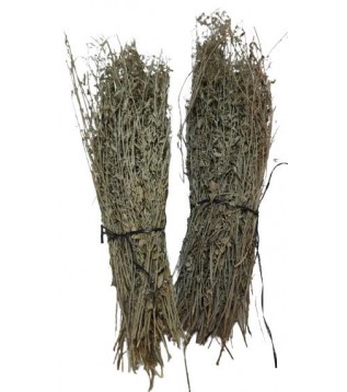 Toros Nanesi Demet Kg Toros Nanesi Demet Kg