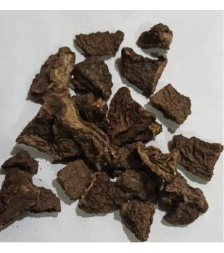 Tavşan Kulağı-siklamen Kökü-domuz  Turbu Kurusu Tavşan Kulağı-siklamen Kökü-domuz  Turbu Kurusu