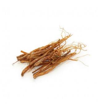 Ginseng Kök Kırmızı Ginseng Kök Kırmızı