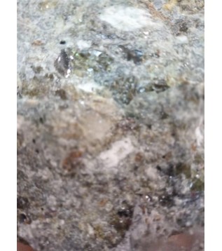 Cavi / Asilbent (benjoin Official) Cavi / Asilbent (benjoin Official)