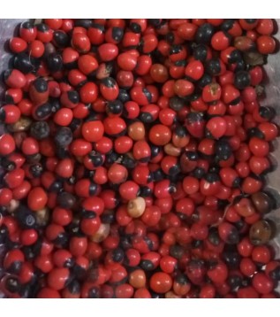 Horoz Gözü Horoz Gözü