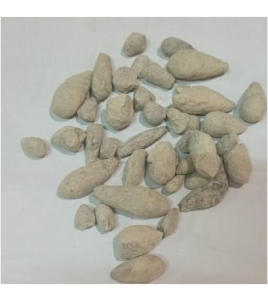 Beni İsrail Zeytini-hacer-el Yahudi