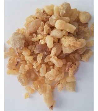 Günlük-akgünlük İri- Lübani Zeker Günlük-akgünlük İri- Lübani Zeker