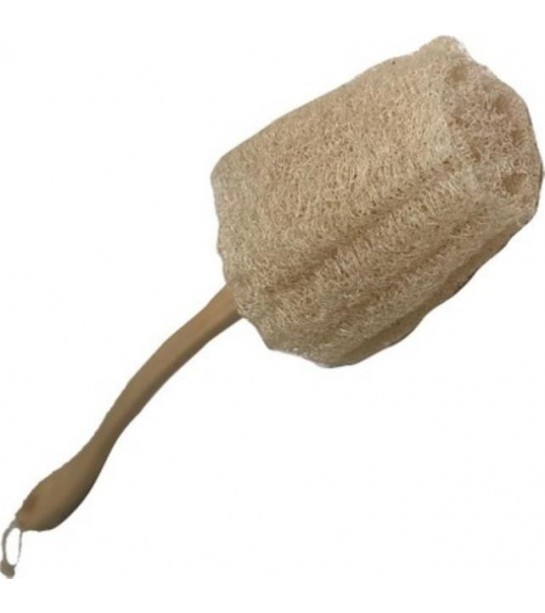 Kabak Lif Sopalı Kabak Lif Sopalı