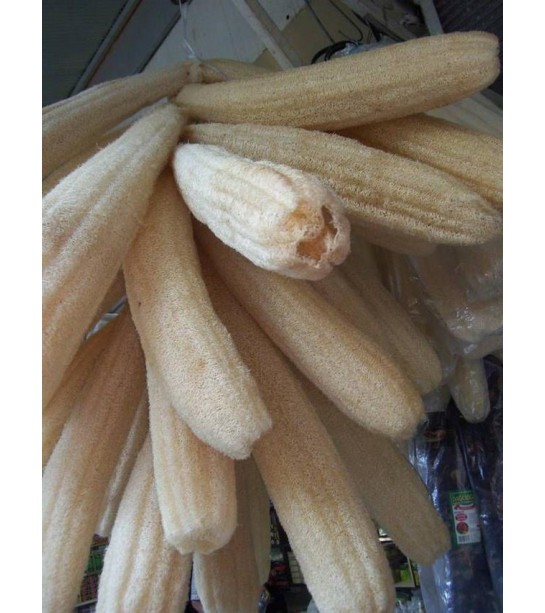 Lif Kabağı Ham Lif Uzun 60-90 Cm Arası Lif Kabağı Ham Lif Uzun 60-90 Cm Arası