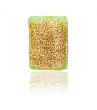 Kabak Lifli Aloe Vera Sabunu Kabak Lifli Aloe Vera Sabunu