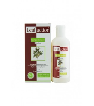 Leafaction Çayağacı Şmp.400 Ml. Leafaction Çayağacı Şmp.400 Ml.