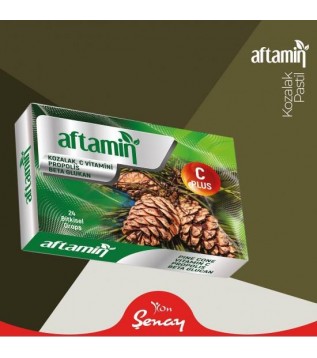 Aftamin Pastil Kozalak C Propolis 24 Ad. Aftamin Pastil Kozalak C Propolis 24 Ad.