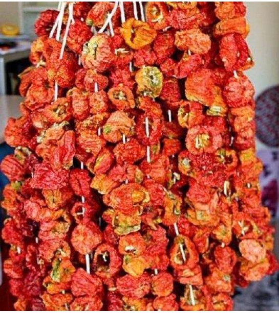 Kuru Biber Dolma  20 Li (iadesiz) Kuru Biber Dolma  20 Li (iadesiz)