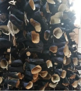 Kuru Patlıcan Dolm Dip-sap 20 Li Kuru Patlıcan Dolm Dip-sap 20 Li