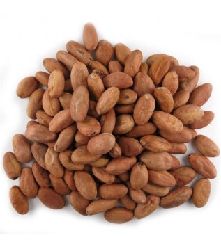Kakao Çekirdek (cocoa Beans) Kakao Çekirdek (cocoa Beans)