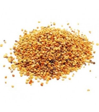 Polen Yerli Polen Yerli