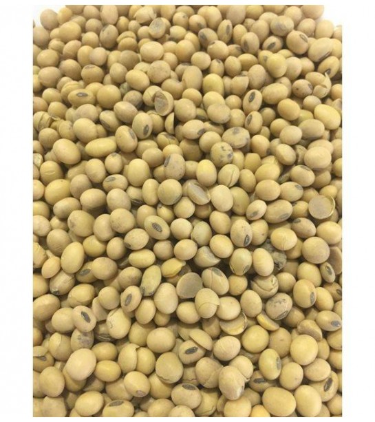 Soya Fasulyesi Soya Fasulyesi