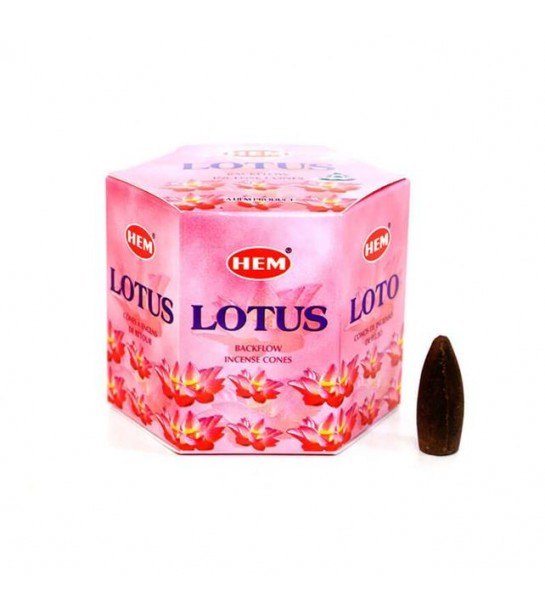 Hem Geri Akış Tütsü 7chakra 10 Lu Hem Geri Akış Tütsü 7chakra 10 Lu