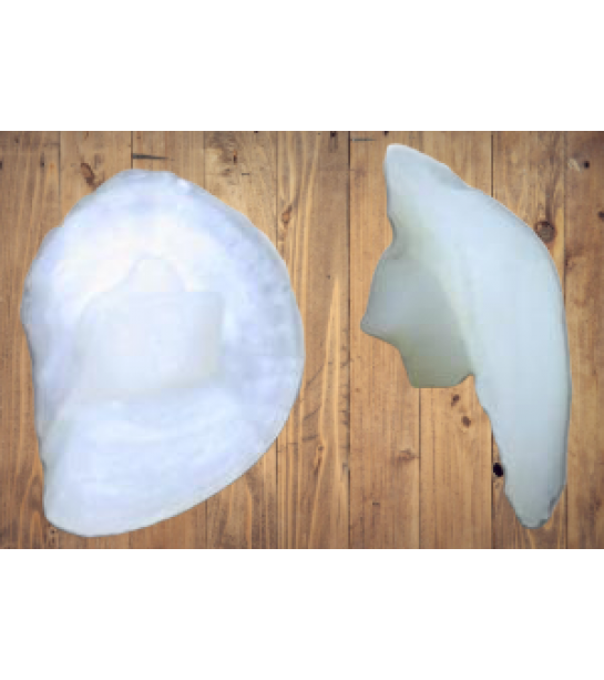 Eşkina Balığı Taşı Eşkina Balığı Taşı