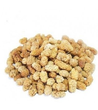 Dut Kurusu Dut Kurusu