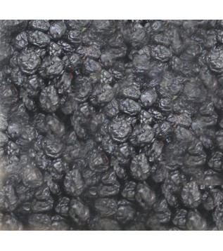 Yaban Mersini-blueberry Yaban Mersini-blueberry