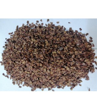 Selvi Kozalak Tohumu Selvi Kozalak Tohumu