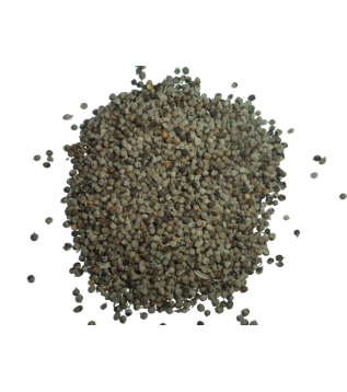 Hayıt Tohumu Hayıt Tohumu