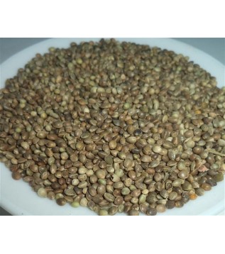 Kenevir Tohumu-kendir-çedene Kenevir Tohumu-kendir-çedene