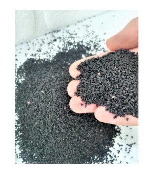 Mor Reyhan Tohumu Mor Reyhan Tohumu